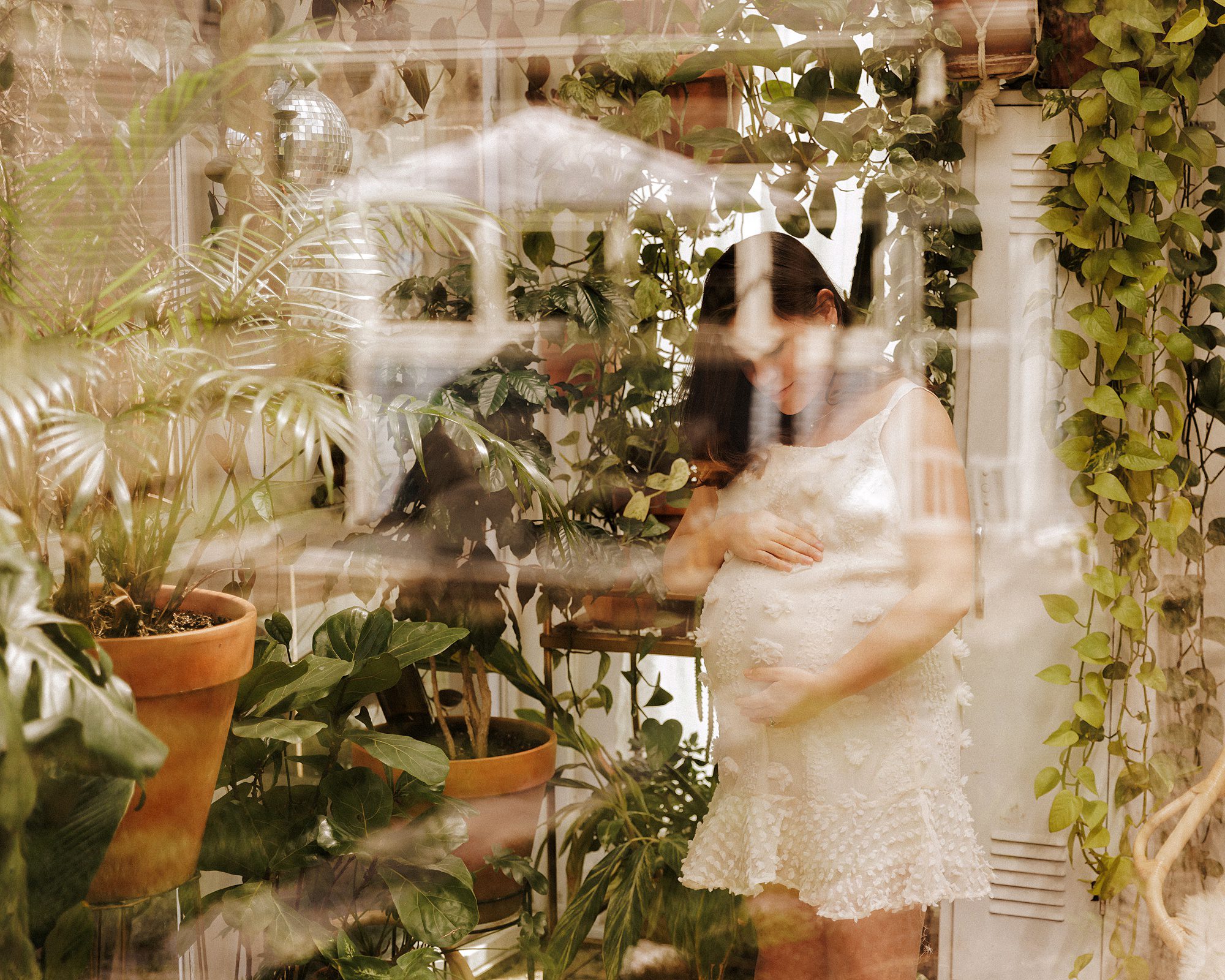 East Nashville Maternity Photography, Nashville Maternity Photographer Ashley Erin West photograph from a Greenhouse Mini Session in the East Nash Greenhouse. Maternity Mini Session , Nashville Maternity Photographer Ashley Erin West photograph from a Greenhouse Mini Session in the East Nash Greenhouse. Maternity Mini Session