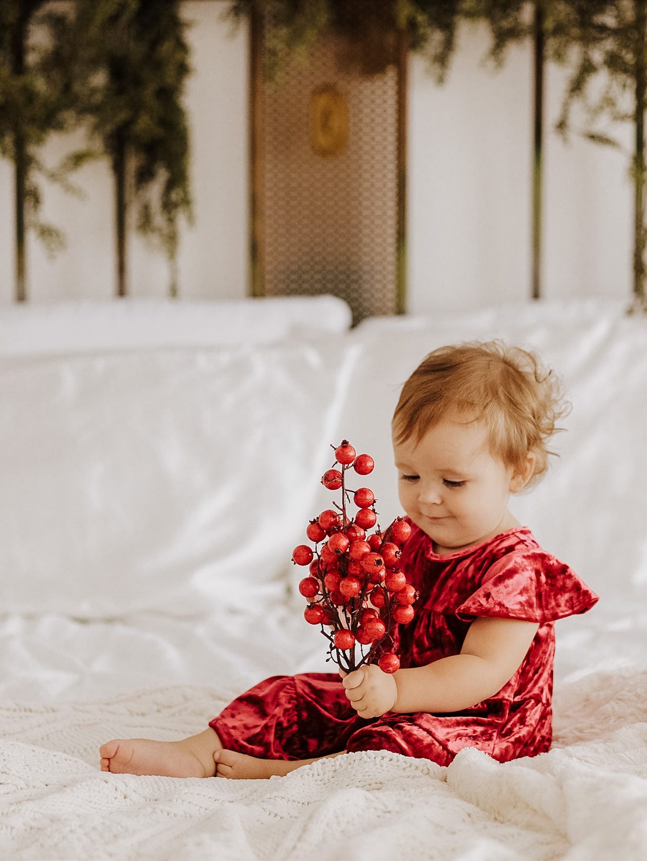 Baby girl in a red velvet dress holding red berries during Holiday Mini Sessions in Murfreesboro TN
