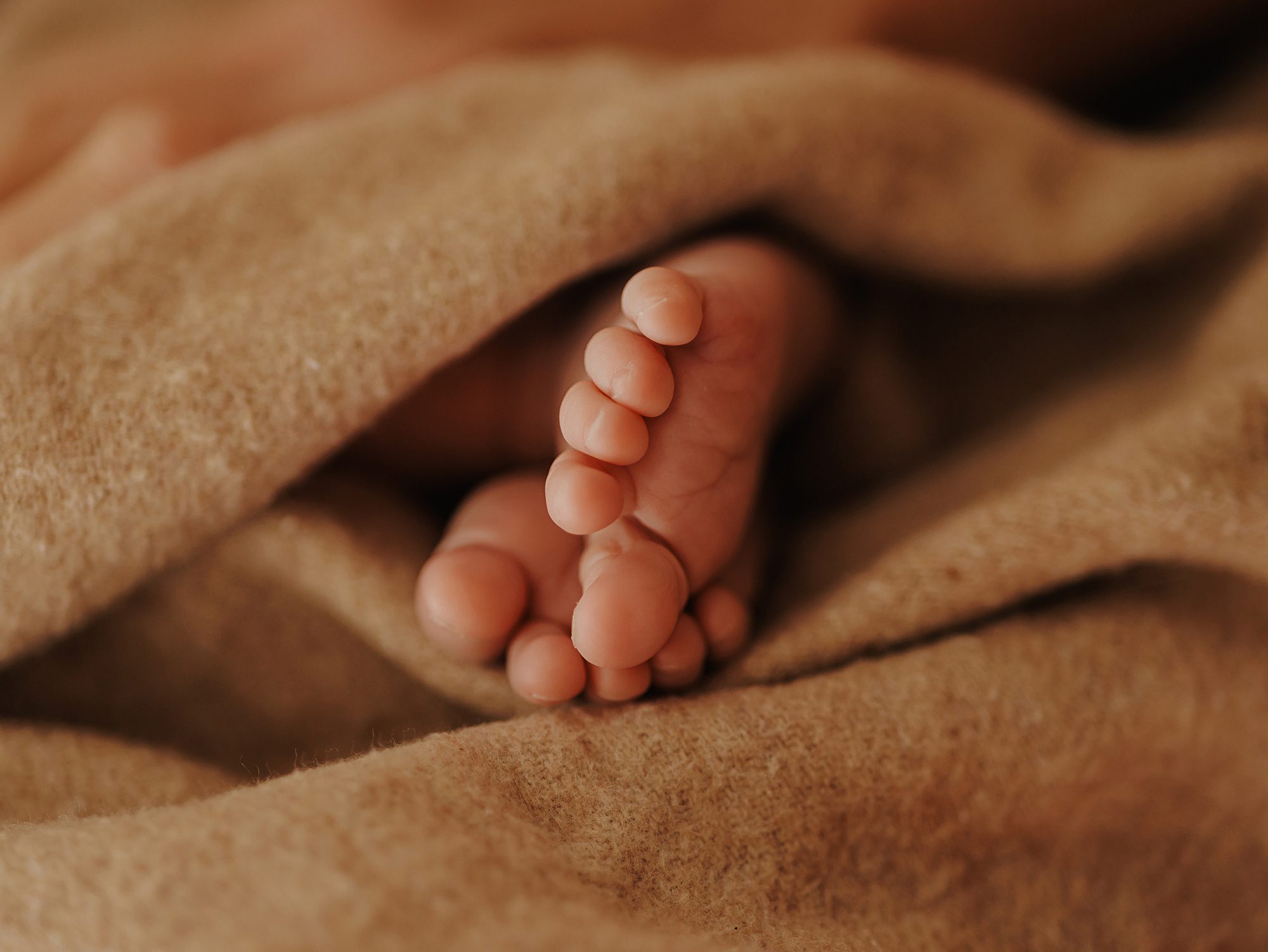 Photograph of newborn baby toes wrapped in a studio blanket 