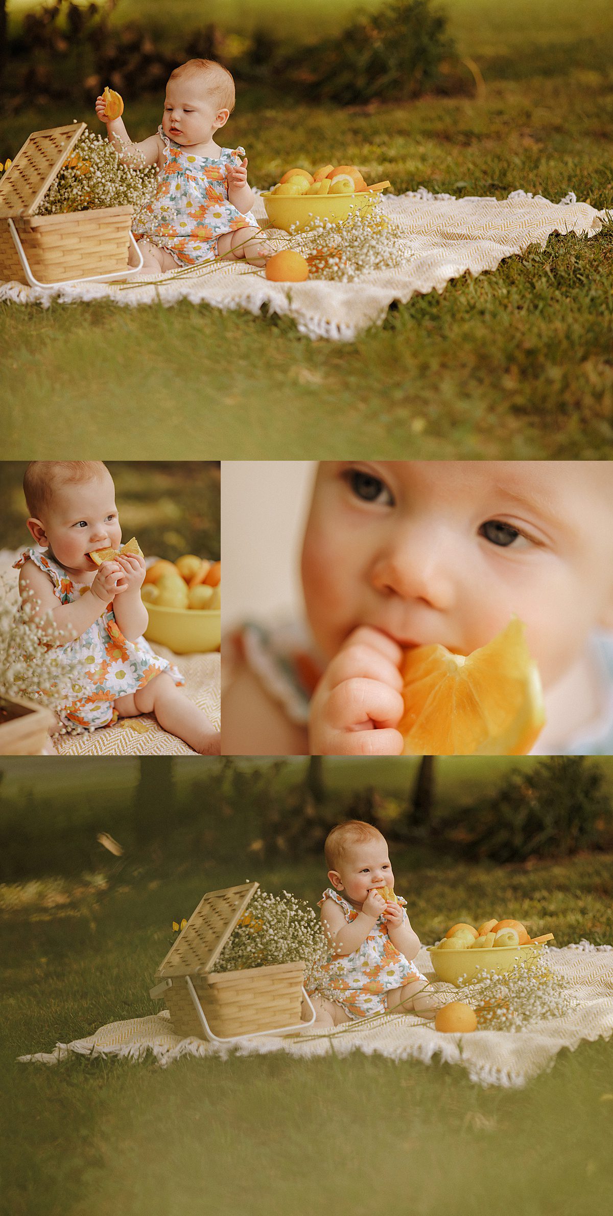 Baby girl sits on a picnic blanket eating an orange slice
