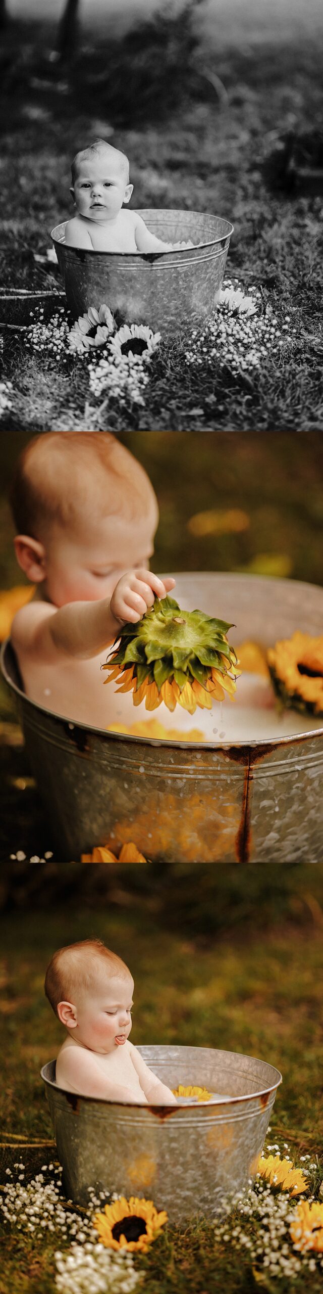 Baby girl in a sunflower milk bath